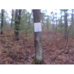 43143 MI Lake County