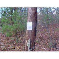 43144 MI Lake County