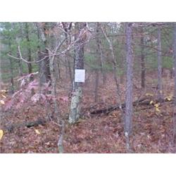 43146 MI Lake County