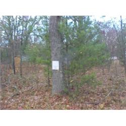 43147 MI Lake County