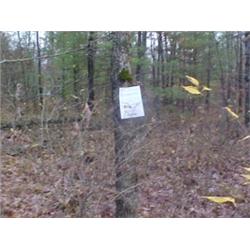 43148 MI Lake County