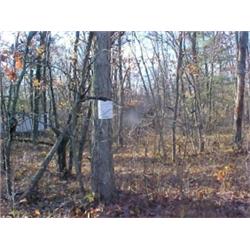 43149 MI Lake County