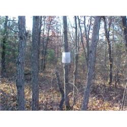 43150 MI Lake County