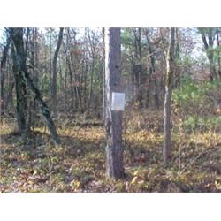 43151 MI Lake County