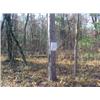 Image 1 : 43151 MI Lake County