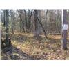 Image 2 : 43151 MI Lake County