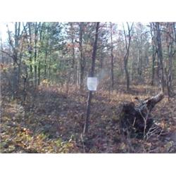 43152 MI Lake County