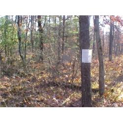 43153 MI Lake County