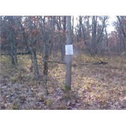 43155 MI Lake County