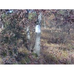 43156 MI Lake County