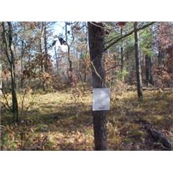 43157 MI Lake County