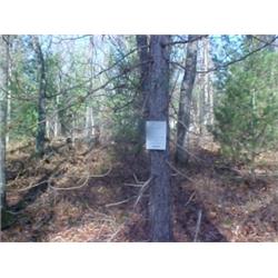 43158 MI Lake County