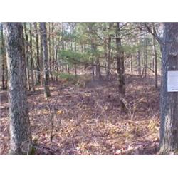 43159 MI Lake County