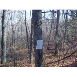 43160 MI Lake County