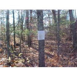 43161 MI Lake County