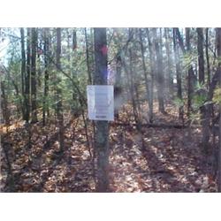 43162 MI Lake County