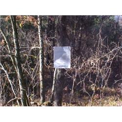 43163 MI Lake County