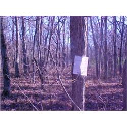 43164 MI Lake County