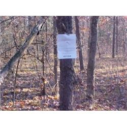 43166 MI Lake County