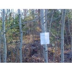 43167 MI Lake County