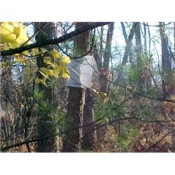 43169 MI Lake County