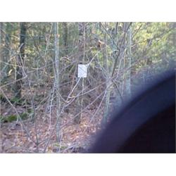 43170 MI Lake County