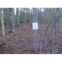 43172 MI Lake County