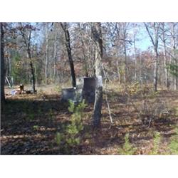 43173 MI Lake County