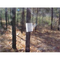 43174 MI Lake County