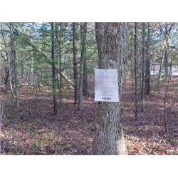 43175 MI Lake County