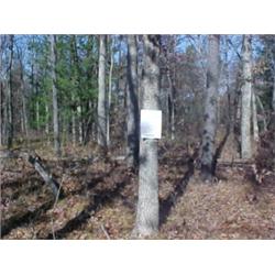 43176 MI Lake County