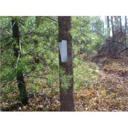 43177 MI Lake County