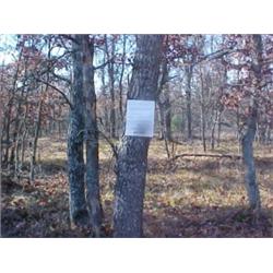 43178 MI Lake County