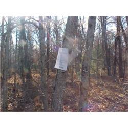 43179 MI Lake County