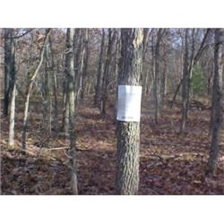 43180 MI Lake County