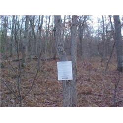 43181 MI Lake County