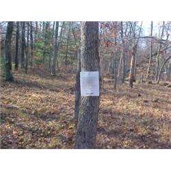 43182 MI Lake County