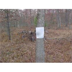 43183 MI Lake County