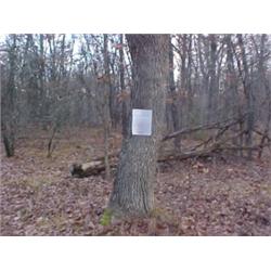 43184 MI Lake County