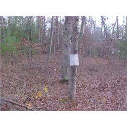 43185 MI Lake County