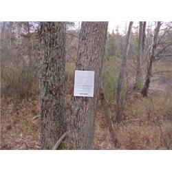 43186 MI Lake County