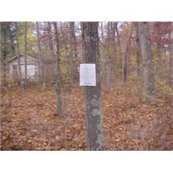 43187 MI Lake County