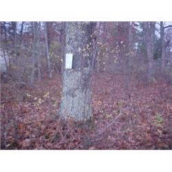 43188 MI Lake County