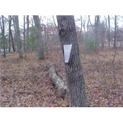 43189 MI Lake County