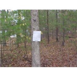 43192 MI Lake County