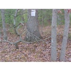 43193 MI Lake County