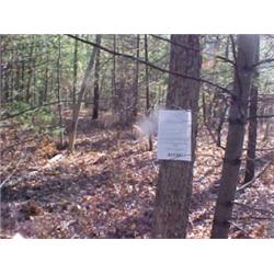 43194 MI Lake County