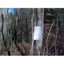 43195 MI Lake County