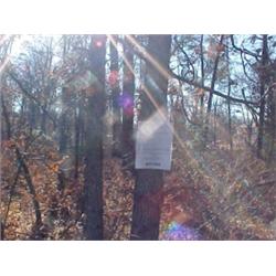 43196 MI Lake County