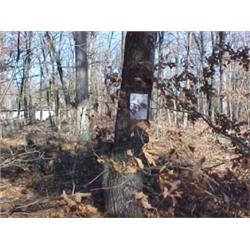 43197 MI Lake County